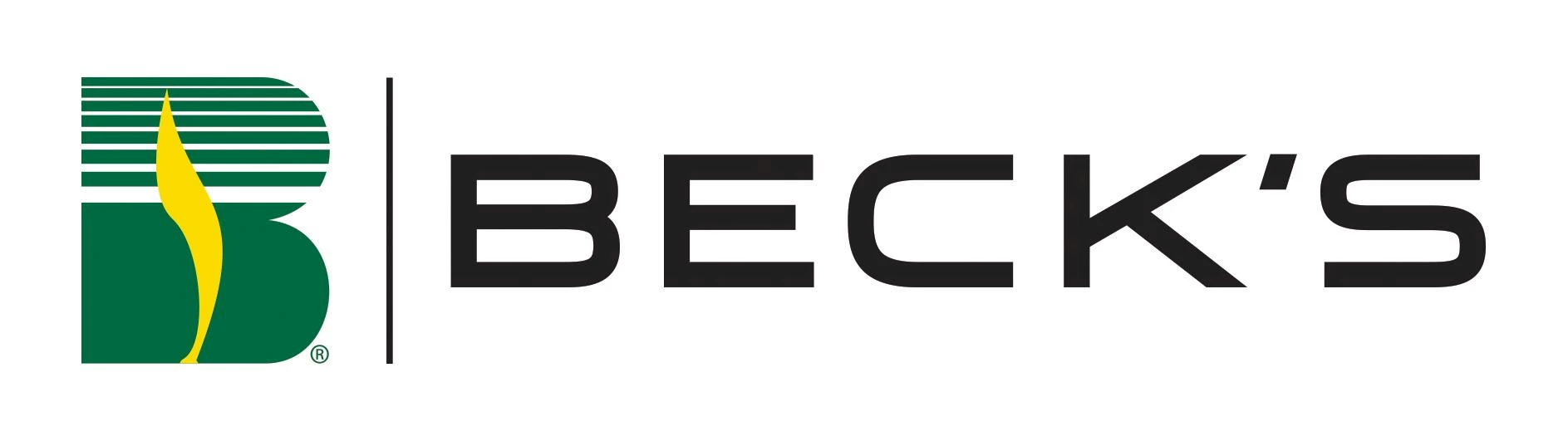 Becks Hybrid